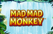 Mad Mad Monkey