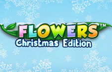 Flowers-Christmas-Edition