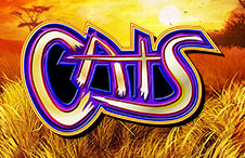 Cats Slots UK
