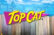 Top Cat