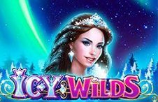 Icy Wilds Casino Slot
