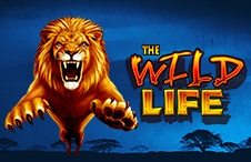 Wild Life Slots
