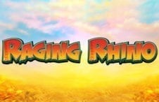 Raging Rhino Casino Slot