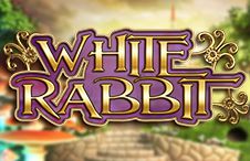 White Rabbit