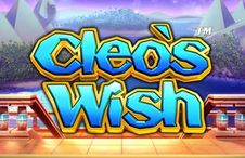 Cleo’s Wish